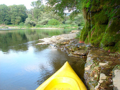 Canoeing on the Ardèche, near the shore